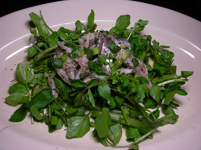 R0044462_Insalata con sarde marinate