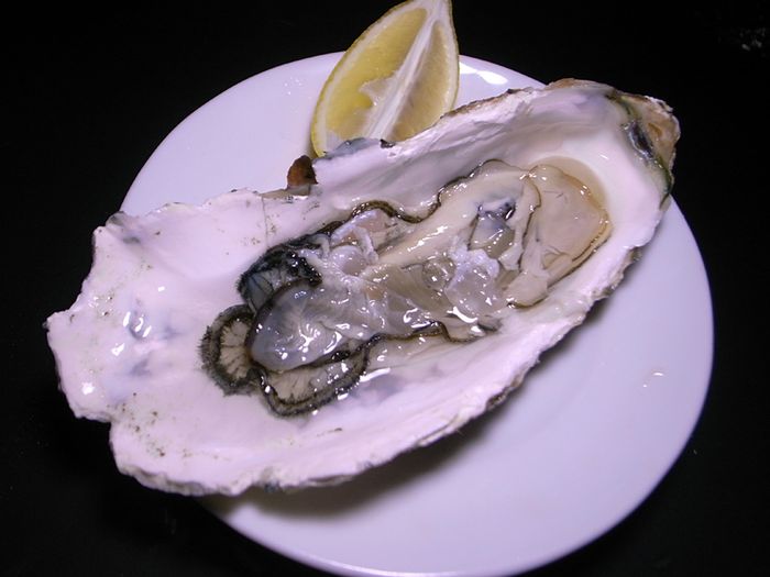 R0040988_oyster2