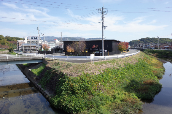 R00599171